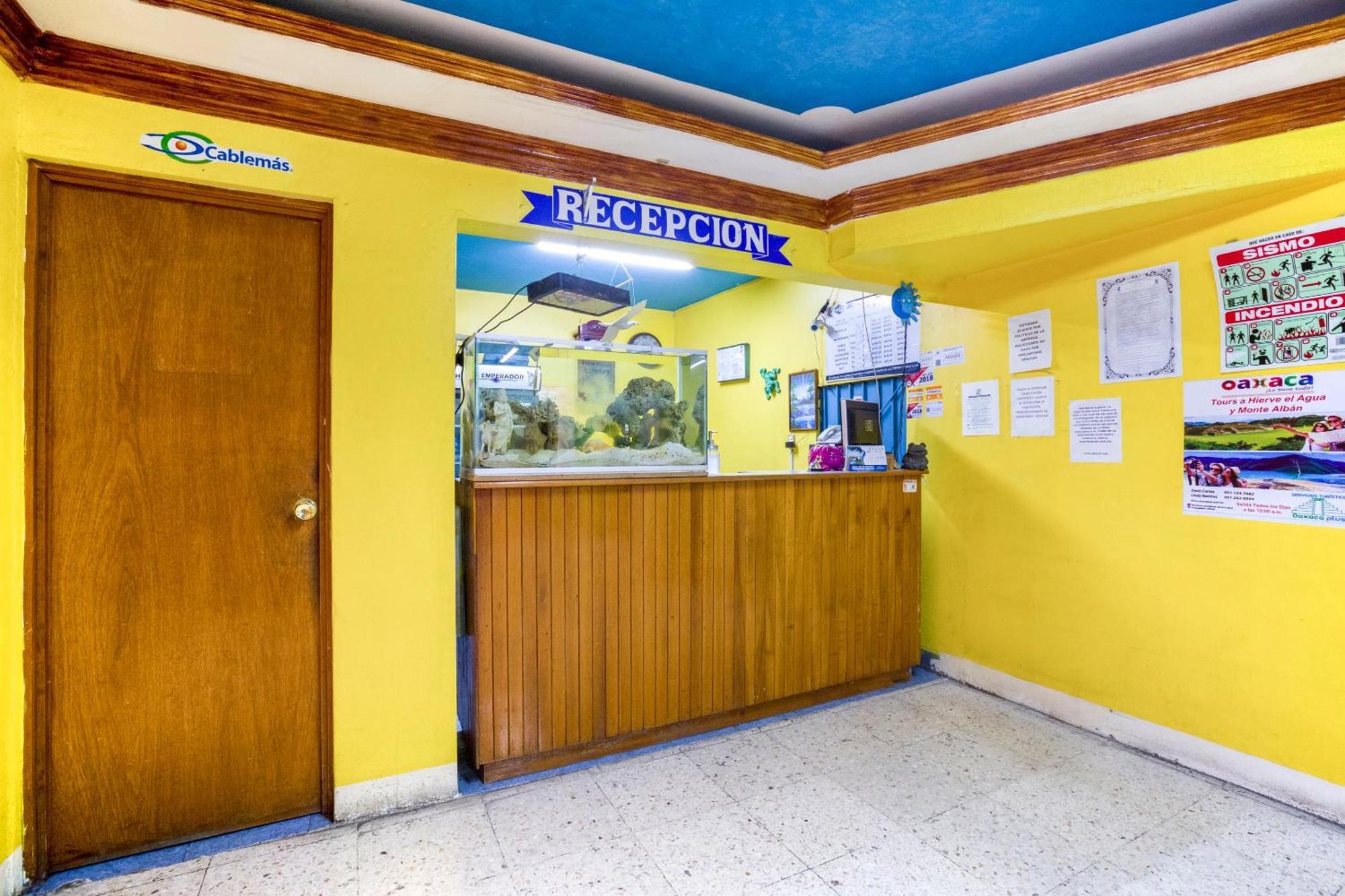 Oyo Hotel Emperador, Oaxaca Eksteriør billede